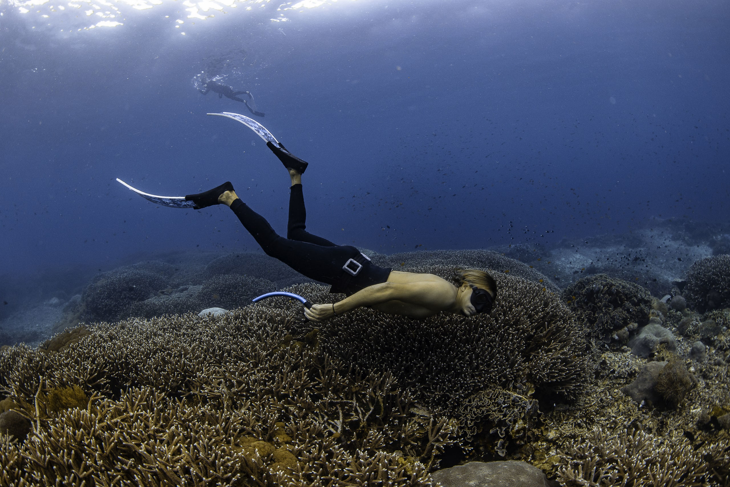 free diving Nusa Penida